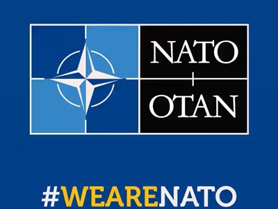 Nato Steadfast Defender 2021